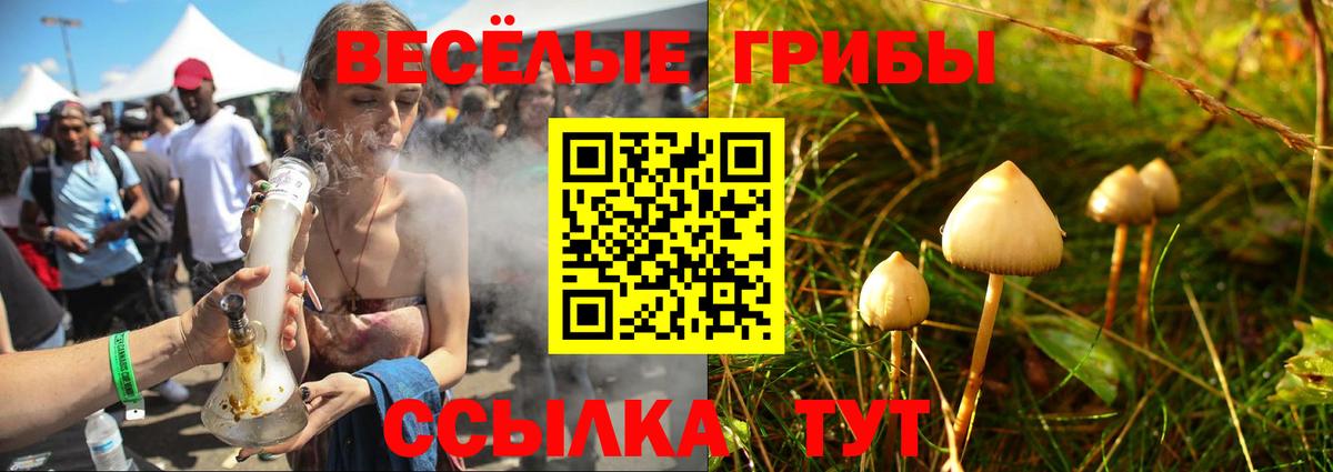 Псилоцибиновые грибы ЛСД Семёнов